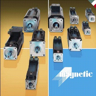 供应意大利Magnetic电机